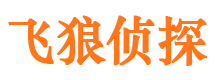 临淄市侦探调查公司